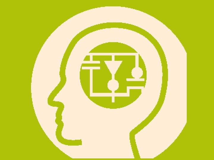 Institute of neuromorphic engineering